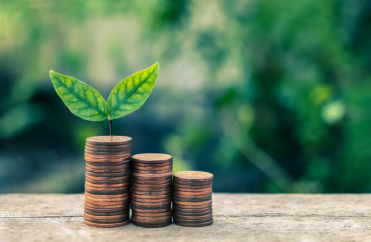 Energieauditkosten Hochrechnung – energie-manufaktur